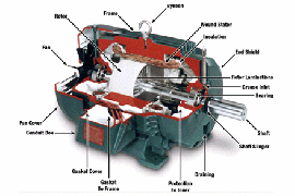 electric motor